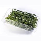 CILANTRO FRESCO DOMO DE .100 gr
