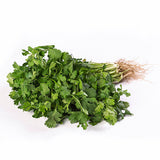 CILANTRO FRESCO DOMO DE .100 gr