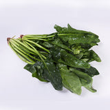 ESPINACA  DOMO DE .100 gr