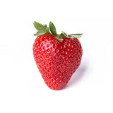 FRESA MEDIANA DOMO DE .500 gr