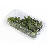 HIERBABUENA FRESCA DOMO .100 gr