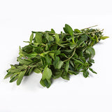 HIERBABUENA FRESCA DOMO .100 gr