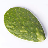 NOPAL MEDIANO DOMO DE .500 gr