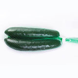 PEPINO MEDIANO PQTE DE 1 KG