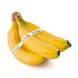 PLATANO TABASCO